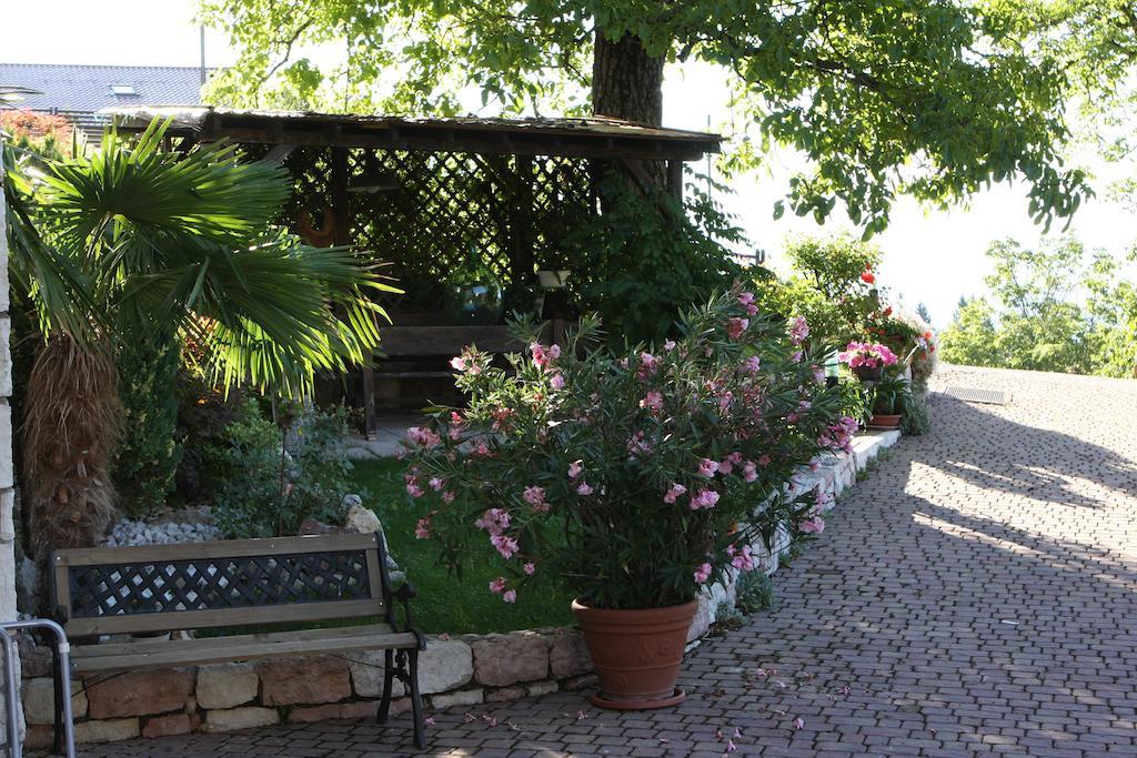 Cortalta Mountain Lodge Fai della Paganella Exterior photo